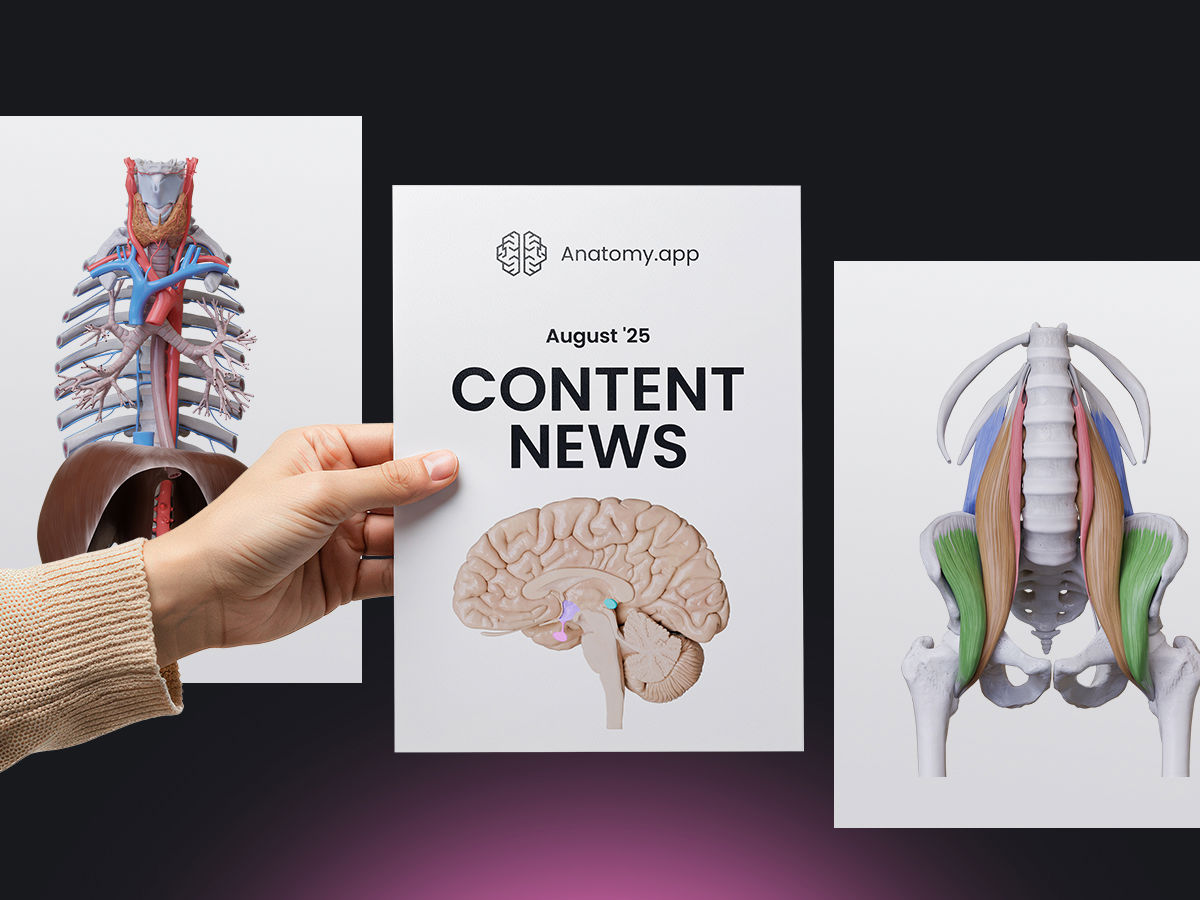 Anatomy.app Content News in August 
