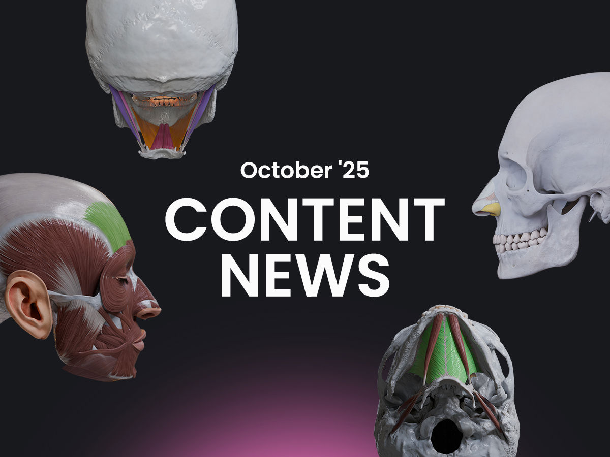 Anatomy.app Content News in October