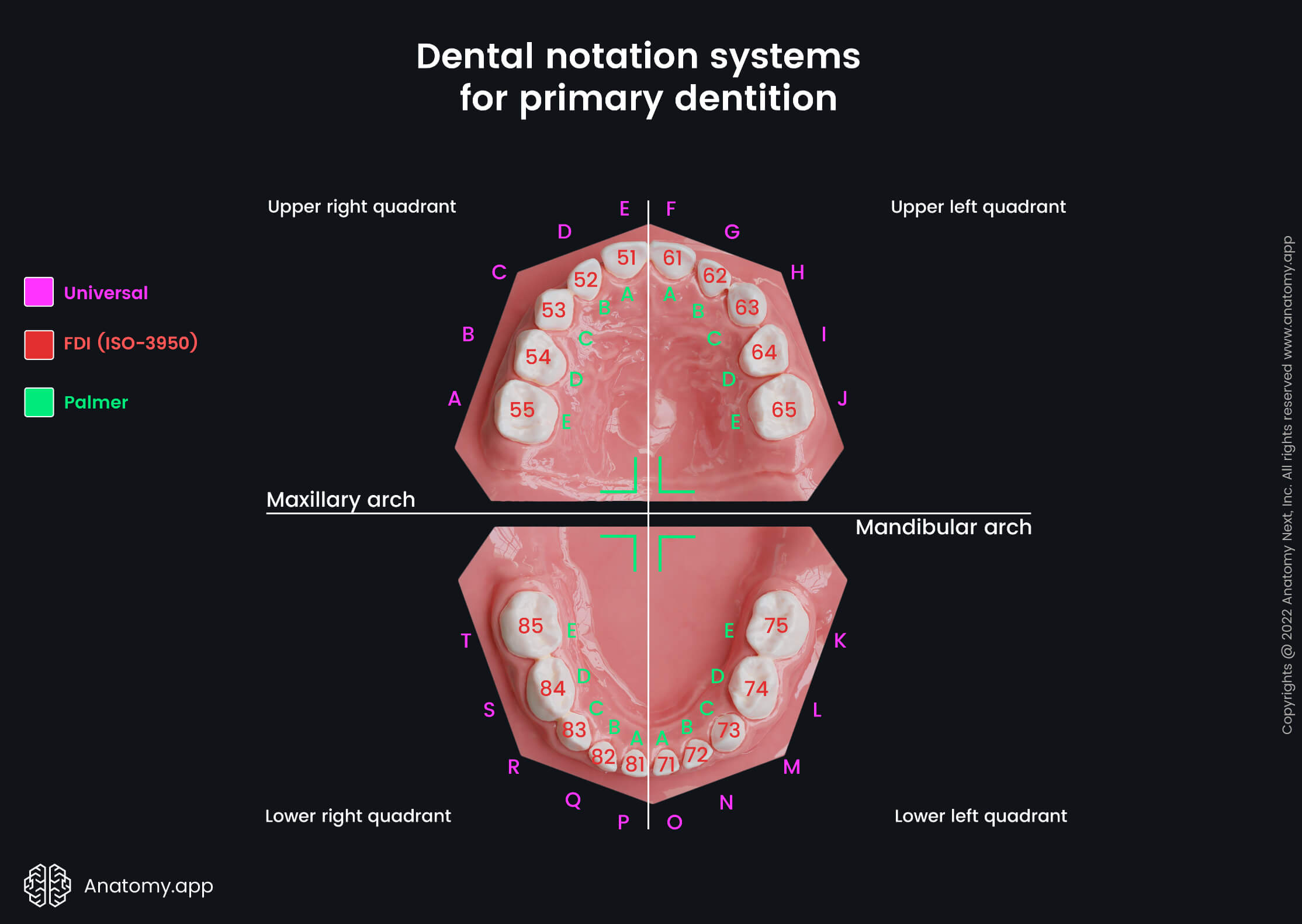 3 Simple Tips For Using dental center Dwarka sector 7 To Get Ahead Your Competition