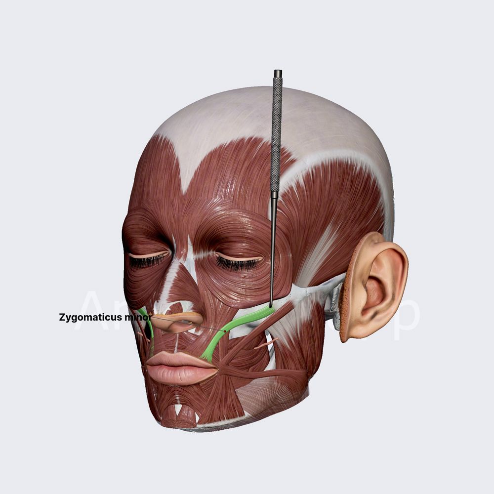 Ot ustida jinsiy aloqa Jinsiy olatni kiriting