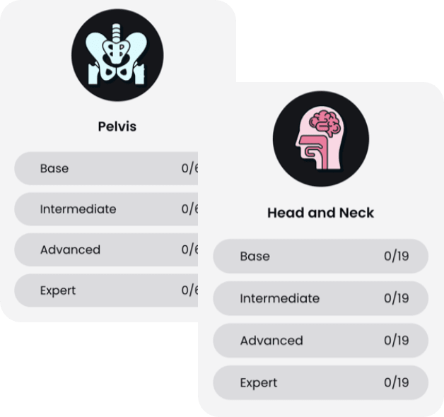 Quizzes on all subjects for self-led student learning visualization